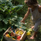 A small child is throwing yellow wooden tulips into a crate of vegetables in a garden.